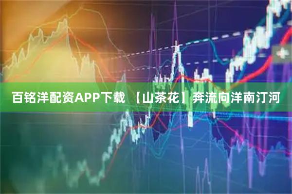 百铭洋配资APP下载 【山茶花】奔流向洋南汀河